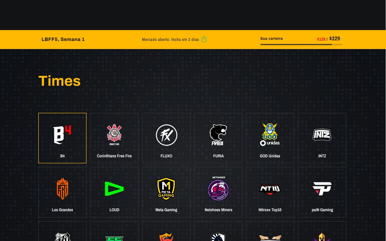 The teams view, the real LBFF organizations represented in the platform.